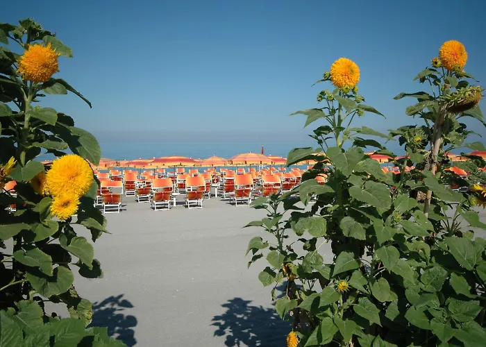 Mediterraneo Palace Hotel Amantea